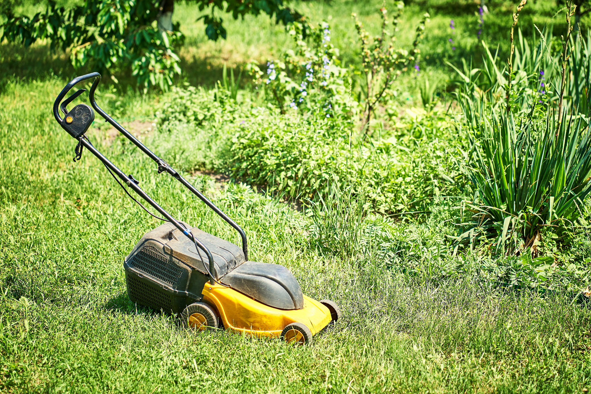 Kako so kosilnice spremenile moj pogled na delo na vrtu